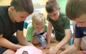 Oszczędzamy z świnka Halinką (1)