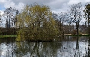 Wiosenny spacer w poszukiwaniu wiosny (3)