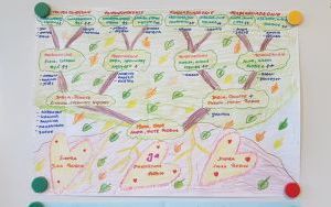 Tworzymy drzewa genealogiczne (3)