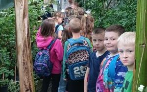 Dzieci z klasy 1d i 1c pozujący na tle bujnej roślinności w Palmiarni 
