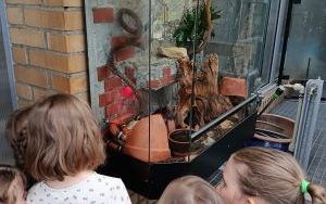 Dziewczynki z klasy 1d obserwujący węża w terrarium