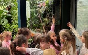 Dzieci z 1a i 1d z zaciekawieniem oglądają terrarium agamy