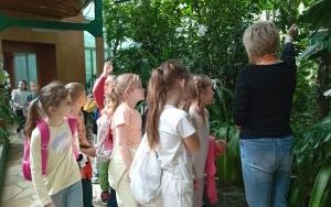 Uczniowie oglądają rośliny