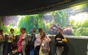 Uczniowie oglądają ryby występujące w rzekach Azji Południowo - Wschodniej