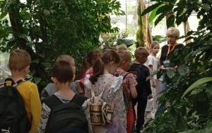 Uczniowie podczas zwiedzania Palmiarni (1)