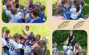 Uczniowie klasy 1b segregują produkty spożywcze na zdrowe i niezdrowe