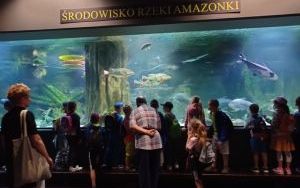 Wycieczka do Palmiarni - klasa Ib (16)